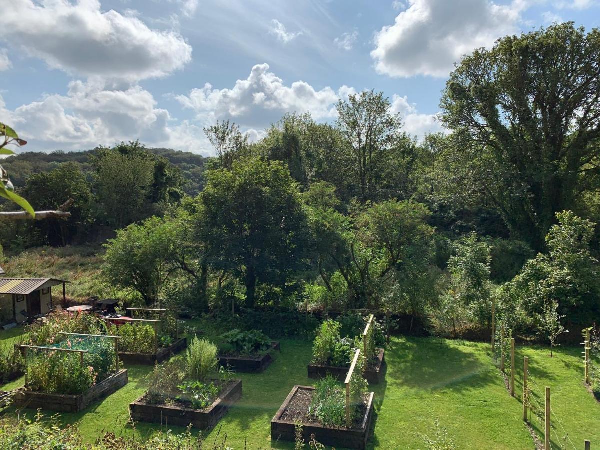 Riverbank House Bed And Breakfast Innishannon 외부 사진