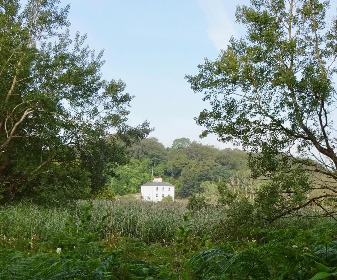 Riverbank House Bed And Breakfast Innishannon 외부 사진